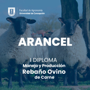 Arancel Diploma Ovino de carne