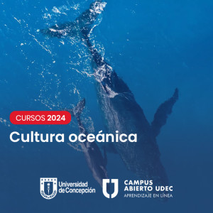 Curso Cultura oceánica