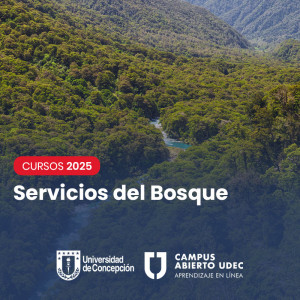 Curso Servicios del Bosque