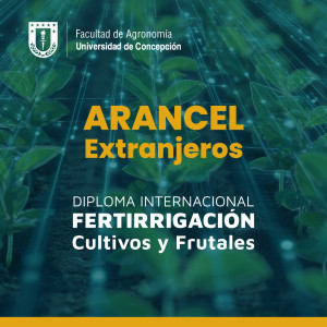 ARANCEL EXTRANJEROS XVI DIPLOMA INTERNACIONAL EN FERTIRRIGACION