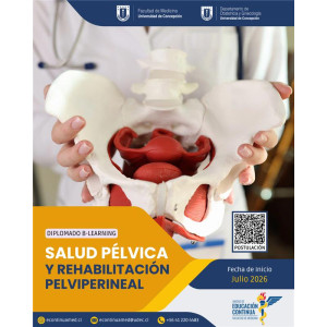Diplomado en salud pélvica y rehabilitación pelviperineal 2026, Matrícula