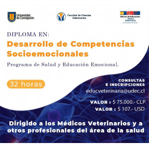 Diploma Desarrollo de Competencias Socioemocionales