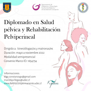 Diplomado en salud pélvica y rehabilitación pelviperineal 2022.(Arancel con Dcto)